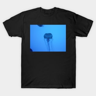 Blue Silhouetted Jellyfish Photo Print And Others T-Shirt